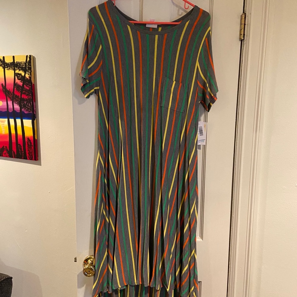 LuLaRoe Carly Swing Dress